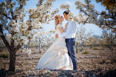 Groom and Bride