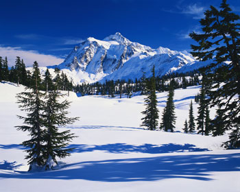 Snow Snow